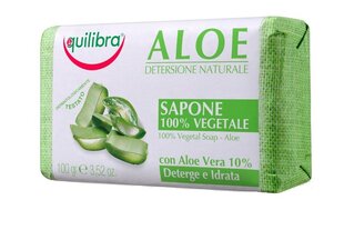 Мыло с экстрактом алоэ вера Equilibra Aloe Naturale 100% Vegetal 100 г цена и информация | Мыло | pigu.lt