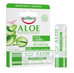 Защищающий бальзам для губ с экстрактом алоэ вера Equilibra Aloe Protezione Naturale 5.5 мл цена и информация | Помады, бальзамы, блеск для губ | pigu.lt