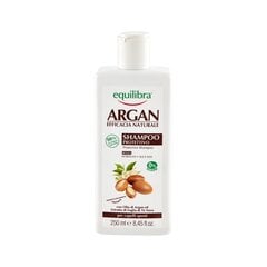 Apsauginis šampūnas su argano aliejumi Equilibra Argan Protective 250 ml kaina ir informacija | Šampūnai | pigu.lt