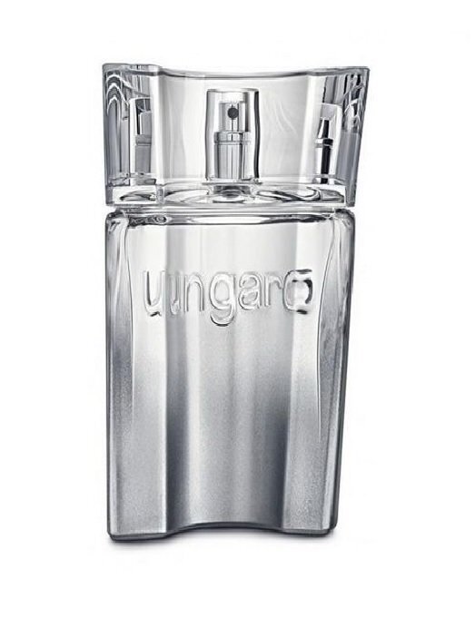 Tualetinis vanduo Emanuel Ungaro Silver EDT vyrams 90 ml цена и информация | Kvepalai vyrams | pigu.lt