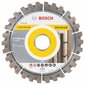 Deimantinis diskas Bosch Best for Universal 125 x 22,23mm цена и информация | Mechaniniai įrankiai | pigu.lt