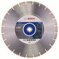 Deimantinis diskas Bosch Standard for Stone 350 x 25,4mm kaina ir informacija | Mechaniniai įrankiai | pigu.lt