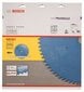 Bosch pjovimo diskas Expert for Multi Material 305 x 30mm цена и информация | Sodo technikos dalys | pigu.lt