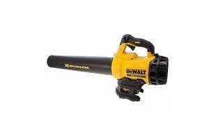 Аккумуляторная воздуходувка Dewalt DCM562P1 цена и информация | Пылесосы для сбора листьев, измельчители веток, очистители тротуарной плитки | pigu.lt