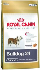 Royal Canin Size French Bulldog Prnacūzų buldogų veislių šunims, 3 kg kaina ir informacija | Sausas maistas šunims | pigu.lt