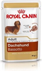 Royal Canin taksų veislės šunims Adult, 85 g kaina ir informacija | Konservai šunims | pigu.lt