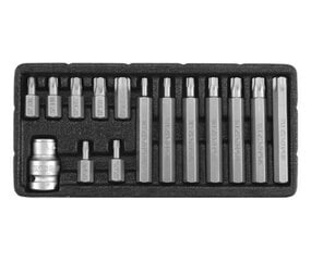 Antgalių rinkinys Yato Torx security T20-T55 YT-0417, 15 vnt. kaina ir informacija | Mechaniniai įrankiai | pigu.lt