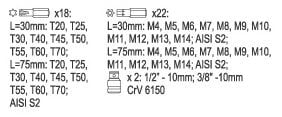 Antgalių rinkinys Yato Ribe Torx security YT-0420, 42 vnt. kaina ir informacija | Mechaniniai įrankiai | pigu.lt