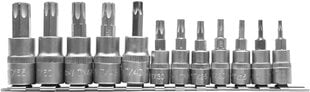 Набор впрессованных наконечников Torx 1/4" 3/8" Т8-T55 Yato (YT-04331), 12 шт. цена и информация | Механические инструменты | pigu.lt