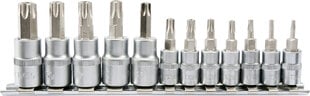 Įpresuotų antgalių rinkinys Torx su skylėmis 1/4" 3/8" T8-T55 Yato (YT-04332), 12 vnt. kaina ir informacija | Mechaniniai įrankiai | pigu.lt