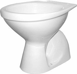 Miska WC Koło Idol stojąca (M13001000) цена и информация | Klozetai | pigu.lt