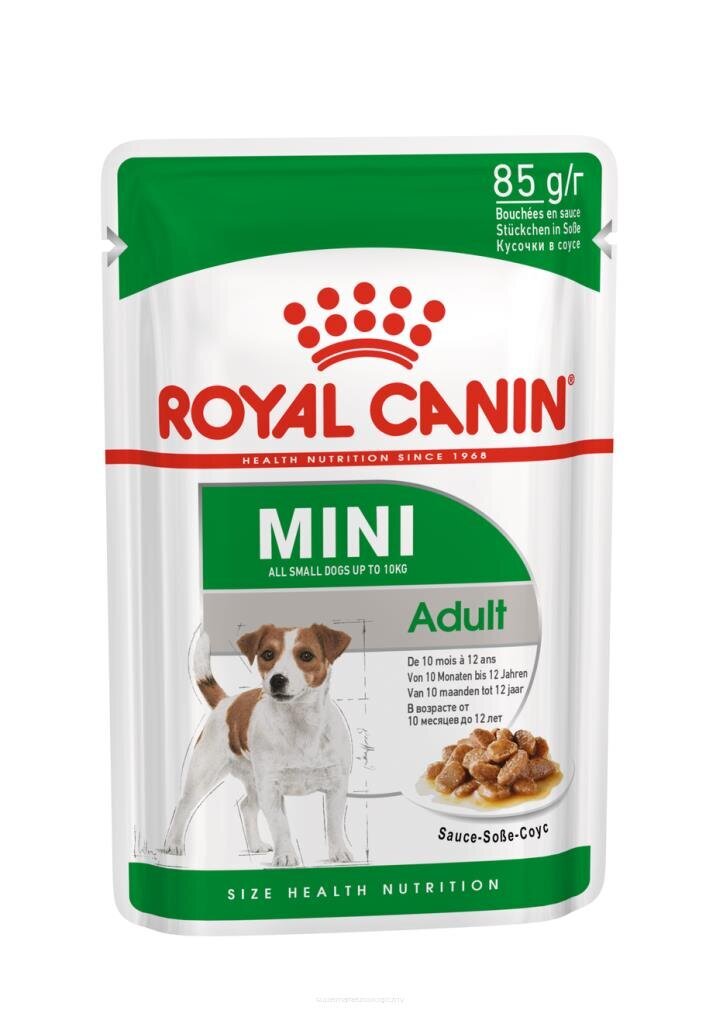 Royal Canin Karma ROYAL CANIN SHN Mini Adult w sosie 12X85G цена и информация | Konservai šunims | pigu.lt