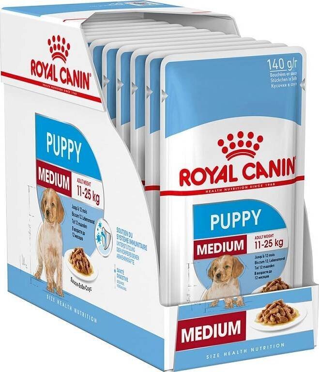 Royal Canin Karma SHN Medium Puppy šlapias šunų maistas, 10x140 g kaina ir informacija | Konservai šunims | pigu.lt