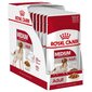 Royal Canin Medium Adult drėgnas maistas šunims, 10x140g цена и информация | Konservai šunims | pigu.lt