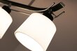 Lampex šviestuvas Olimp 2 kaina ir informacija | Lubiniai šviestuvai | pigu.lt