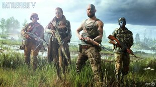 Battlefield V, Sony PS4 цена и информация | Компьютерные игры | pigu.lt