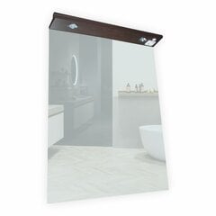 Зеркало F1000631 с подсветкой цена и информация | Зеркала в ванную | pigu.lt