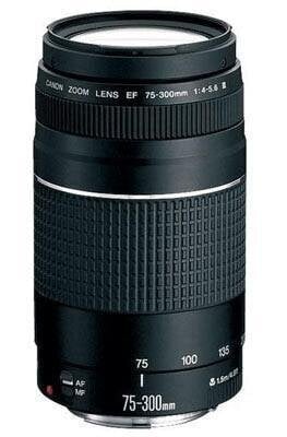 Canon EF 75-300mm f/4-5.6 III kaina ir informacija | Objektyvai | pigu.lt