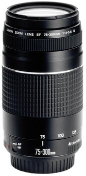 Canon EF 75-300mm f/4-5.6 III цена и информация | Объективы | pigu.lt