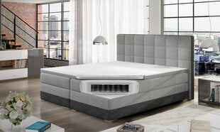Кровать Damaso, 140х200 см, светло-серая цена и информация | Кровати | pigu.lt