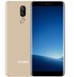 Doogee X60, 1/8 GB Dual SIM Gold kaina ir informacija | Mobilieji telefonai | pigu.lt