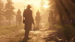 Microsoft Xbox One Red Dead Redemption 2 цена и информация | Компьютерные игры | pigu.lt