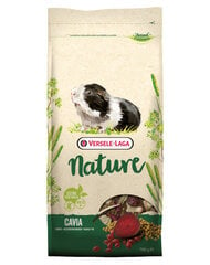 Versele Laga Cavia Nature полноценный корм для морских свинок, 9 кг цена и информация | Корм для грызунов | pigu.lt