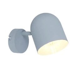 Осветитель Candellux Azuro цена и информация | Настенные светильники | pigu.lt