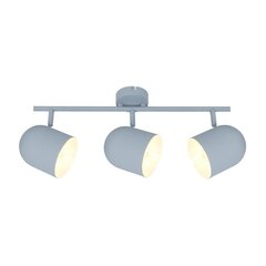 Осветитель Candellux Azuro цена и информация | Потолочные светильники | pigu.lt