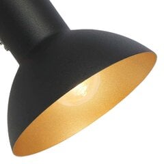 Candellux светильник Diso цена и информация | Потолочные светильники | pigu.lt