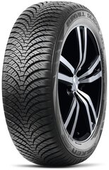 Falken AS210 165/65R14 79 T цена и информация | Всесезонная резина | pigu.lt