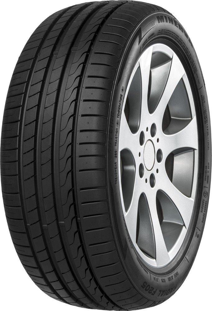 Minerva F205 235/55R17 103 W XL kaina ir informacija | Vasarinės padangos | pigu.lt