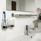 " Tiger Boston " stiklines/dantų šepetėlio laikiklis vonios ir dušo цена и информация | Vonios kambario aksesuarai | pigu.lt