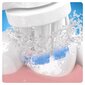Oral-B Genius 10000N kaina ir informacija | Elektriniai dantų šepetėliai | pigu.lt