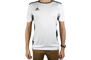 Мужская футболка Adidas Entrada 18 CD8438, белая цена и информация | Мужские термобрюки, темно-синие, SMA61007 | pigu.lt