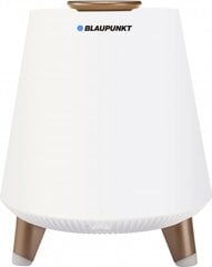 Blaupunkt BT25LAMP, balta kaina ir informacija | Garso kolonėlės | pigu.lt