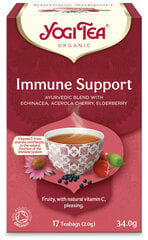 Аюрведическая YogiTea® Immune Support, 30.6 г цена и информация | Чай | pigu.lt