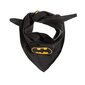 Cool Club kaklaskarė berniukams Batman, 2 vnt., LAB1805102 цена и информация | Kepurės, pirštinės, kaklaskarės kūdikiams | pigu.lt
