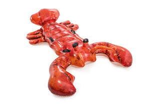 Pripučiamas žaislas Intex Lobster Ride-On kaina ir informacija | Pripučiamos ir paplūdimio prekės | pigu.lt