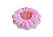 Pripučiamas plaustas Intex Pink Daisy Flower, 142 cm kaina ir informacija | Pripučiamos ir paplūdimio prekės | pigu.lt