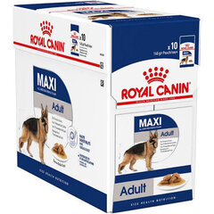 Консервы Royal Canin Maxi Adult, 140 г x 10 шт цена и информация | Консервы для собак | pigu.lt