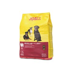 Для взрослых собак средних размеров Josera Josidog Regular, 900 г цена и информация |  Сухой корм для собак | pigu.lt