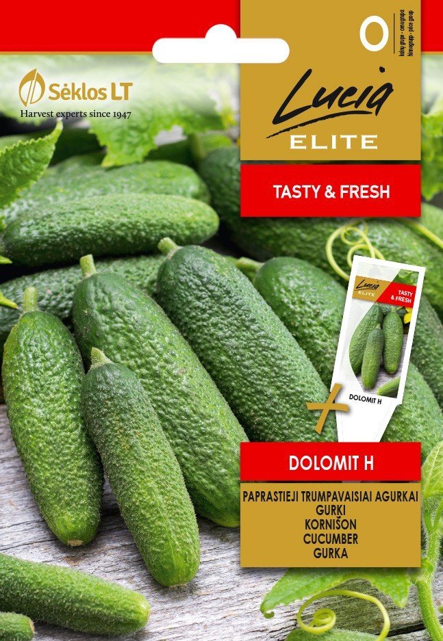 Paprastieji trumpavaisiai agurkai Dolomit H цена и информация | Daržovių, uogų sėklos | pigu.lt