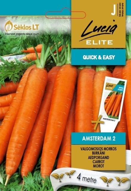 Valgomosios morkos Amstardam 2 kaina ir informacija | Daržovių, uogų sėklos | pigu.lt