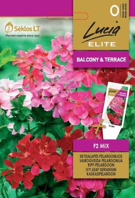 Skydalapės Pelargonijos F2 Mix kaina ir informacija | Gėlių sėklos | pigu.lt