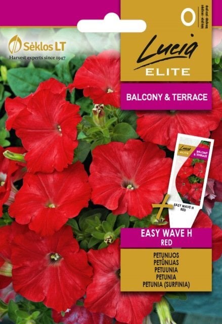 Petunijos (surfinijos) Easy Wave H Red kaina ir informacija | Gėlių sėklos | pigu.lt