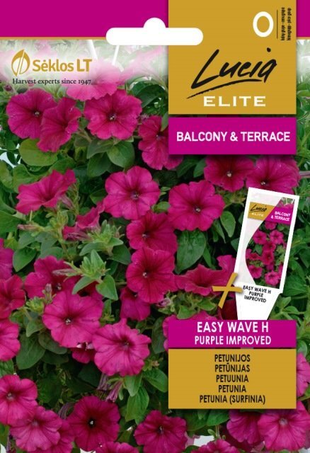 Petunijos (Surfinijos) Wave H Purple Improved kaina ir informacija | Gėlių sėklos | pigu.lt