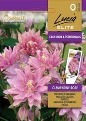 Аквилегия обыкновенная Clementine Rose цена и информация | Семена цветов | pigu.lt