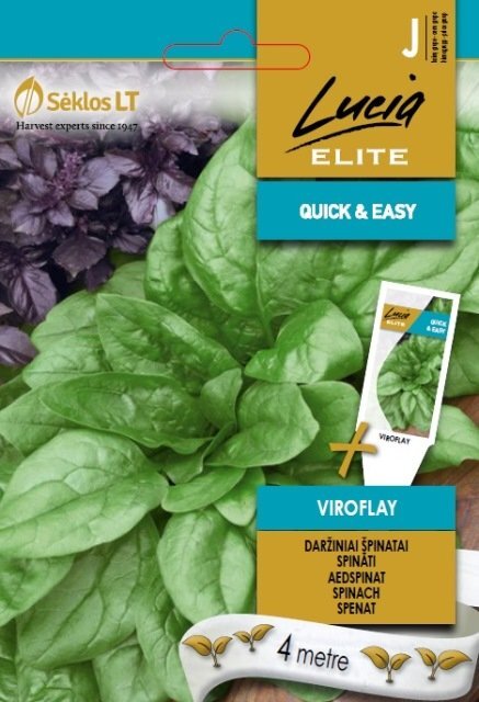 Daržiniai špinatai Viroflay kaina ir informacija | Daržovių, uogų sėklos | pigu.lt
