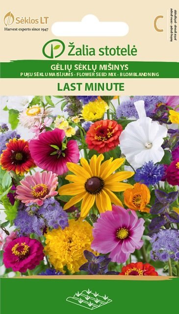 Gėlių mišinys Last Minute цена и информация | Gėlių sėklos | pigu.lt